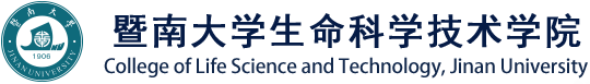 必赢官网